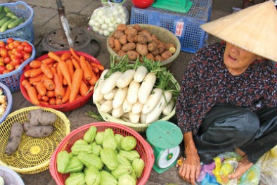 Tắm hoá chất, củ héo lại tươi căng!